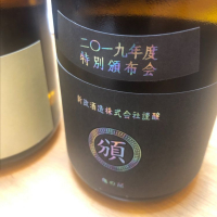 新政
