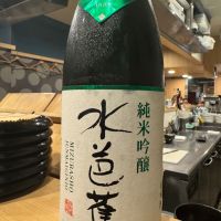 水芭蕉
