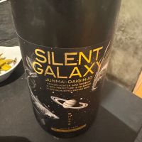 
            SILENT GALAXY_
            だいべぇさん