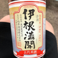 伊根満開