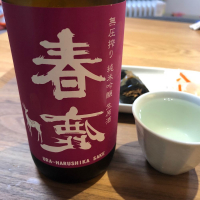 春鹿