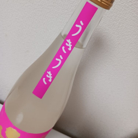 山本のレビュー by_プッシー猫
