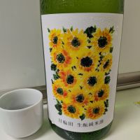 日輪田