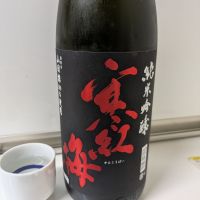 
            寒紅梅_
            ひ よさん