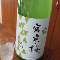 
            宮寒梅_
            ひ よさん