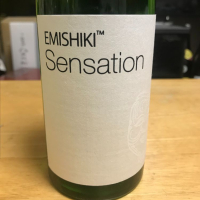 
            SENSATION_
            noriさん
