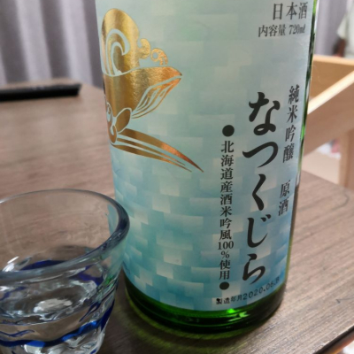 高知県の酒