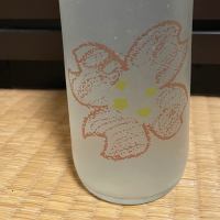 仙禽