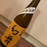 
            川中島 幻舞_
            Back6さん