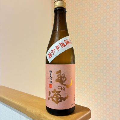 亀の海のレビュー by_nao
