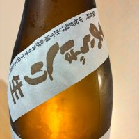 亀の海のレビュー by_nao