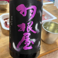 
            羽根屋_
            naoさん