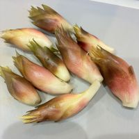 電照菊のレビュー by_nao