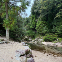 敷嶋のレビュー by_nao