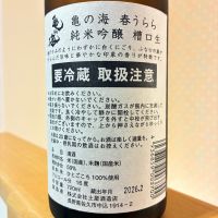 亀の海のレビュー by_nao