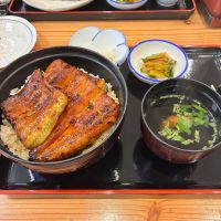 亀の海のレビュー by_nao