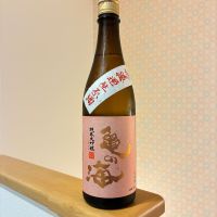 亀の海