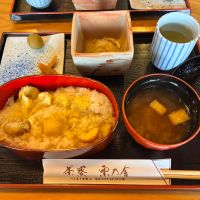 天美のレビュー by_nao