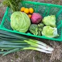 宗玄のレビュー by_nao