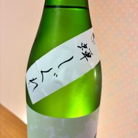 亀の海のレビュー by_nao