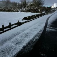 仙禽のレビュー by_nao