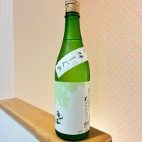亀の海
