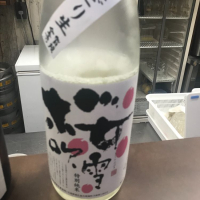 広島県の酒