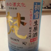 
            梵_
            うりうりさん