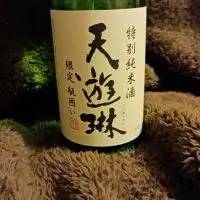 天遊琳_KC500さん