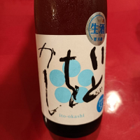 高知県の酒