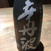 辛丹波