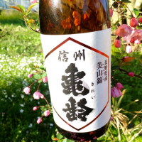 長野県の酒