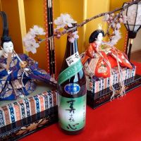 
            寿喜心_
            ばぶるの卵さん