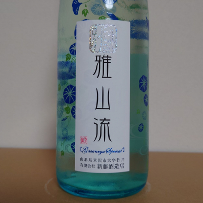 雅山流のレビュー by_hagi