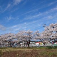 町田酒造のレビュー by_hagi