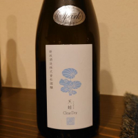 天蛙