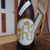 マル飛