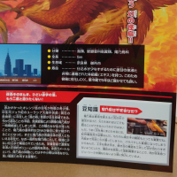 陽乃鳥のレビュー by_hagi