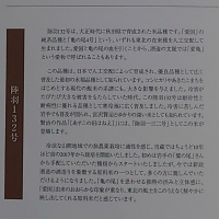 新政のレビュー by_hagi