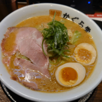 新政のレビュー by_hagi