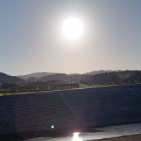 見えざるピンクのユニコーンのレビュー by_hagi