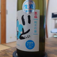 豊の梅（豊能梅）のレビュー by_hagi