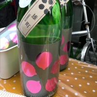 愛媛県の酒