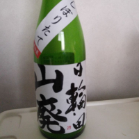 宮城県の酒