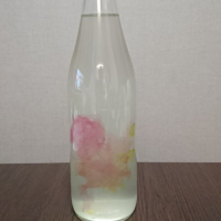 仙禽