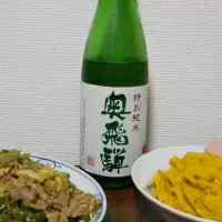 奥飛騨_のんべだらりんさん
