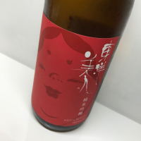 山口県の酒