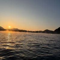 光栄菊のレビュー by_kasumi_♂