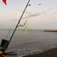 応援之酒 冨玲のレビュー by_kasumi_♂