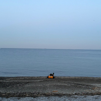 よこやまのレビュー by_kasumi_♂